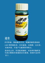 濰坊登峰 有機農藥技術的創新高地與產品展廳